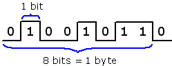 Bit