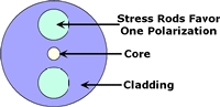 Cross-section of Polarization Maintaining Fiber