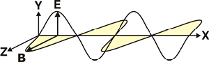 Polarization